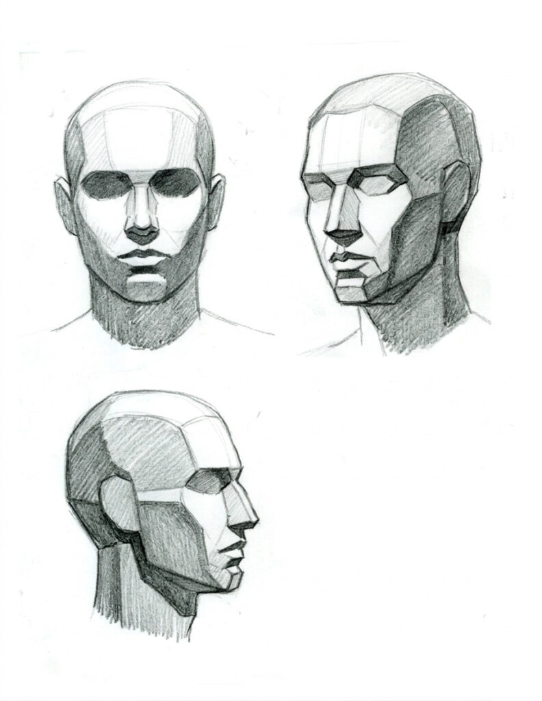 人の顔の面取り図｜仏画の顔の描き方に役立つ立体の捉え方