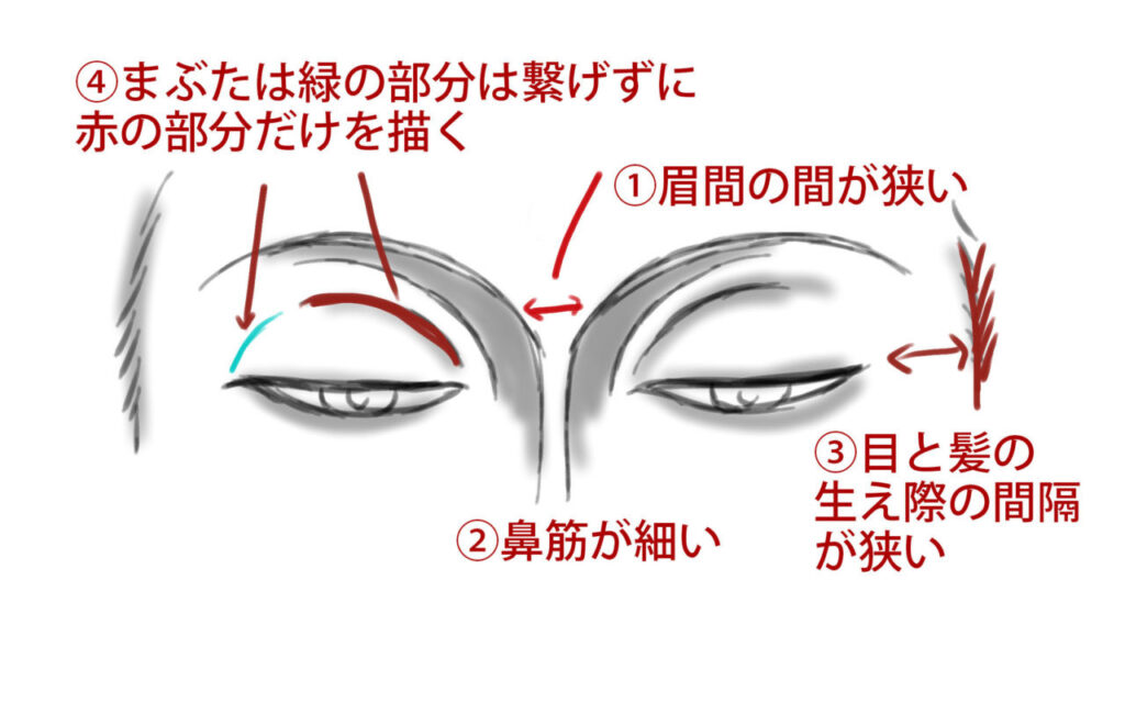 仏画の目の描き方のポイント｜半眼の特徴（眉間が狭い・鼻筋が細い・目と髪の間隔が狭い・まぶたは繋げない）を解説
